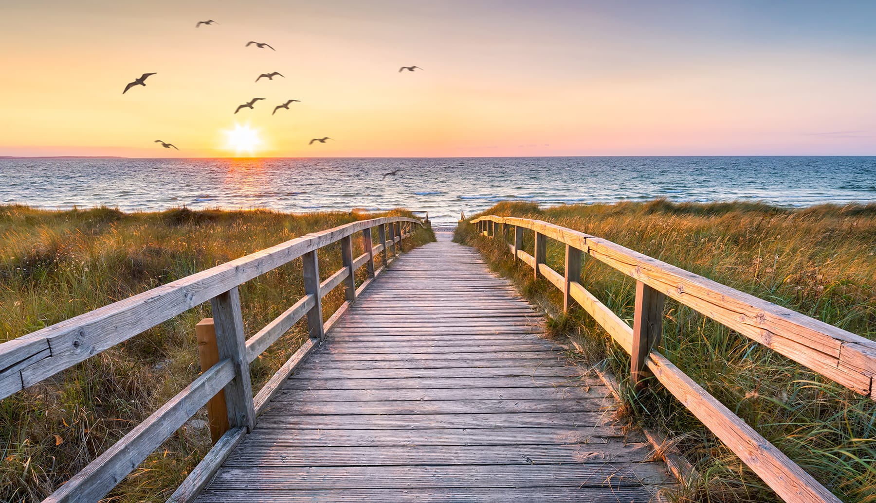 Wooden path to beach. Hypnotherpy Luton, Harpenden & online