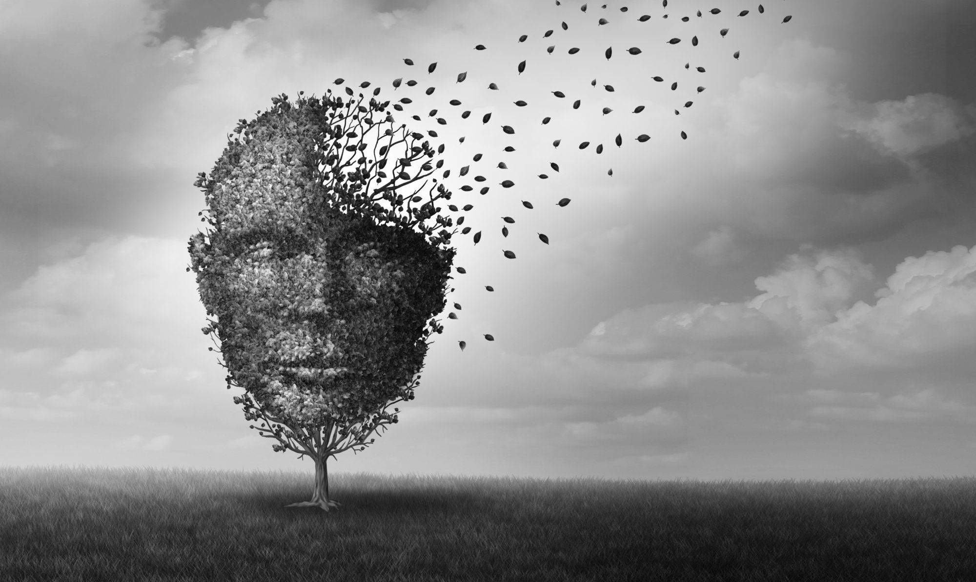 Tree shaped as a face losing leaves symbolising anxiety