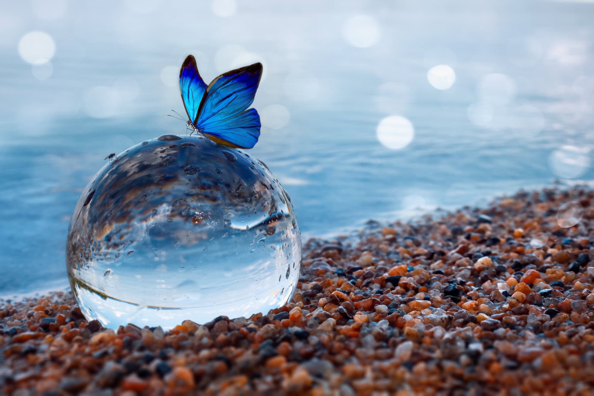 Butterfly on a glass ball on the beach reflecting the lake and sky