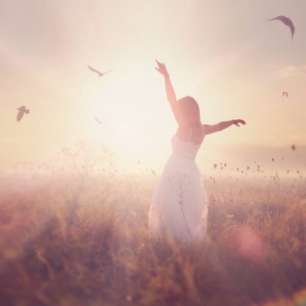 silhouette of a young girl in a field, at sunrise with flying birds in the sky